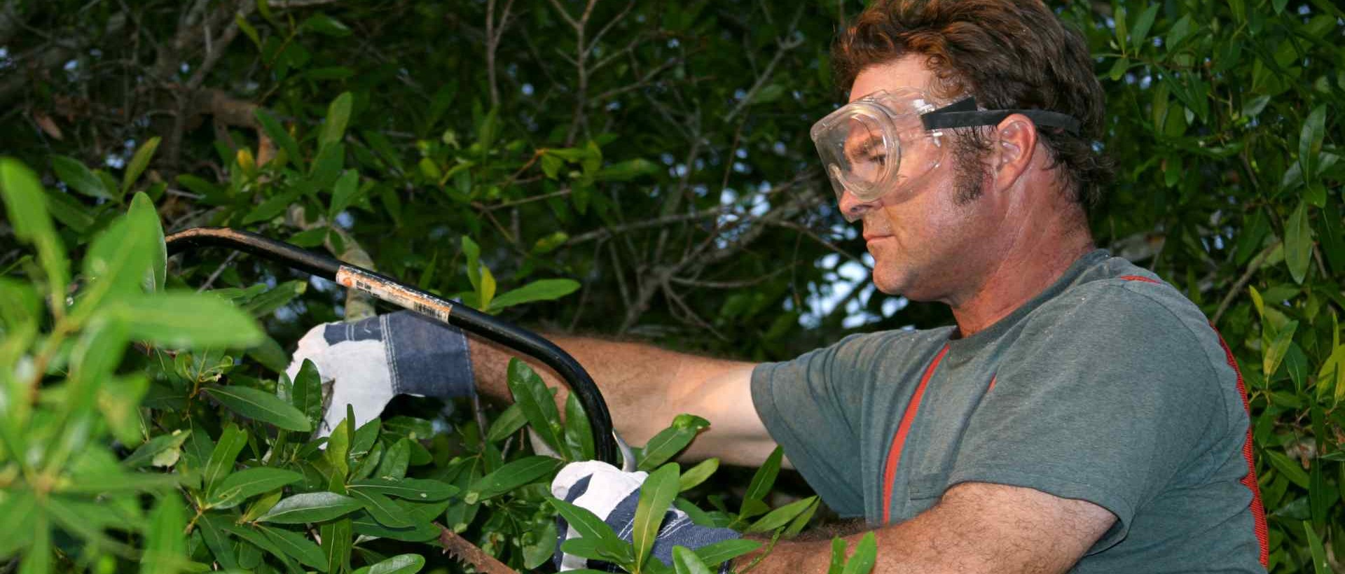 garden clearance SM2